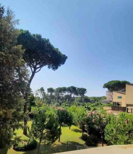 a view of a park with a large tree at Casa Lucia a due passi dal mare Wi-Fi free parking in Principina a Mare