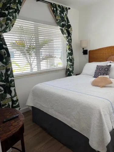 Stunning Little Havana Close to Airport, Calle Ocho, Brickell, Cruises,Wynwood and the Beaches - Free Parking photo 77