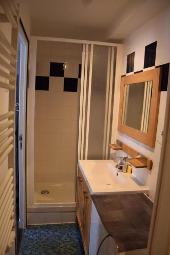 une salle de bain avec un lavabo et une douche dans l'établissement Le Nid du Sancy - 5P - Proche station de ski, à Le Mont-Dore