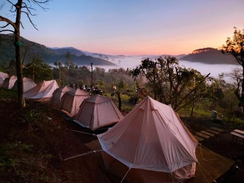 rząd namiotów na polu w górach w obiekcie Konoha Măng Đen w mieście Kon Von Kla