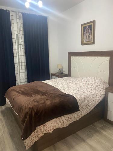 貝瑙漢的住宿－APARTAMENTO RIBERA DEL GUADIARO, 14，一间卧室配有一张带棕色毯子的床