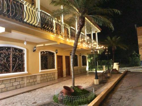 a palm tree in a pot in front of a building at Habitación Doble Mayan Plaza in Copán Ruinas