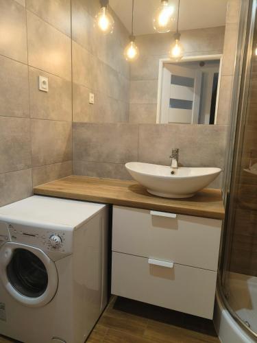 ein Badezimmer mit einem Waschbecken und einer Waschmaschine in der Unterkunft Mieszkanie w centrum Tarnowa 2.0 in Tarnów