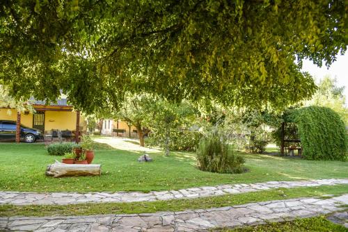 a person sitting on the grass under a tree at Complejo Turistico Los Troncos in San Rafael