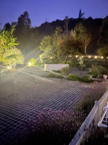 a garden at night with purple flowers and lights at Cabañas Boutique Faldeos de La Lajuela in Santa Cruz