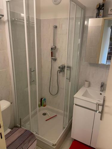 une salle de bain avec douche et lavabo dans l'établissement Appartement calme au jardin de Cesar, à Fréjus