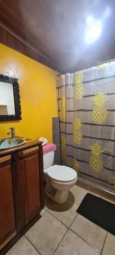 a bathroom with a toilet and a shower at Congos Hostal y Camping in Playa Hermosa