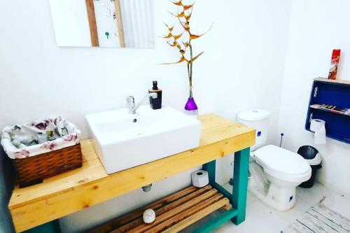 a bathroom with a sink and a toilet at Habitaciones en chalet cerca de san cipriano y las chorreras de perico in Buenaventura