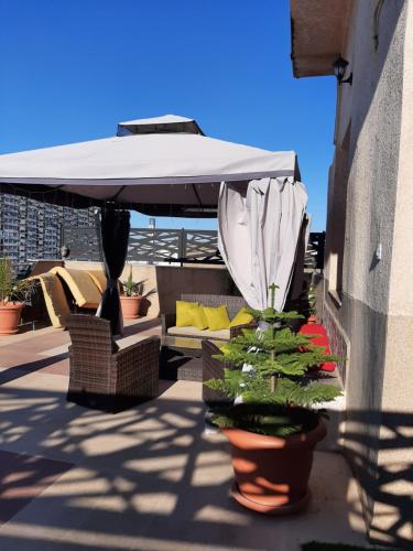 an umbrella and a potted plant on a patio at Bel appartement avec vue sur la baie d'Alger in Husseïn Dey