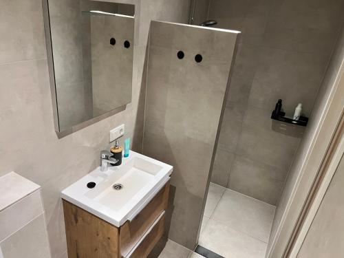 a bathroom with a sink and a shower at Beach House met badkamer, boxspring & airco in Schoonebeek