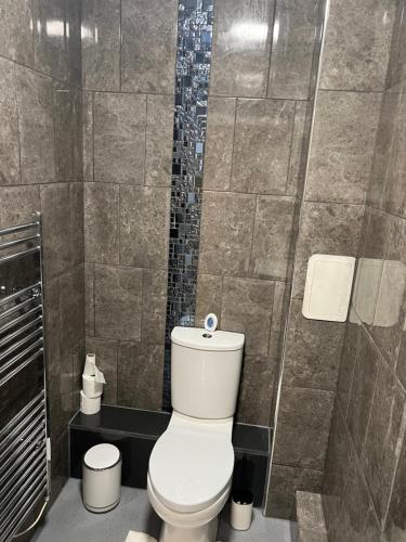 a bathroom with a toilet and a shower at Luxury Kingdom in Redbridge