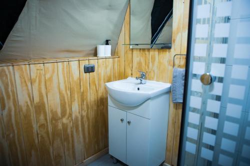 een badkamer met een wastafel en een houten muur bij Domos Paseo Nativo in Chillán