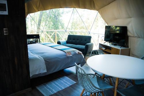 1 dormitorio con 1 cama, TV y mesa en Domos Paseo Nativo, en Chillán