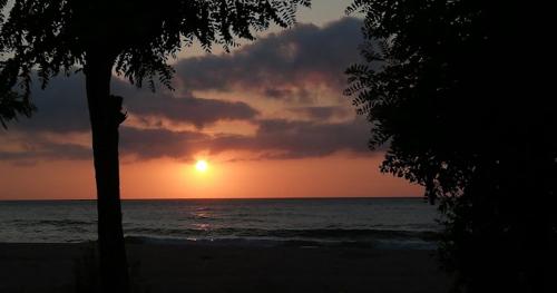 Gallery image of PINAR OTEL in Amasra