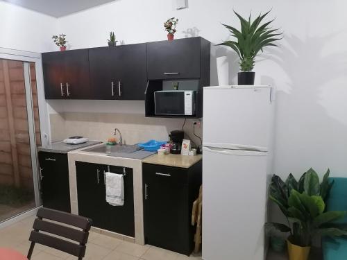 聖塔安娜的住宿－Nenes Relax Home，厨房配有黑色橱柜和白色冰箱。