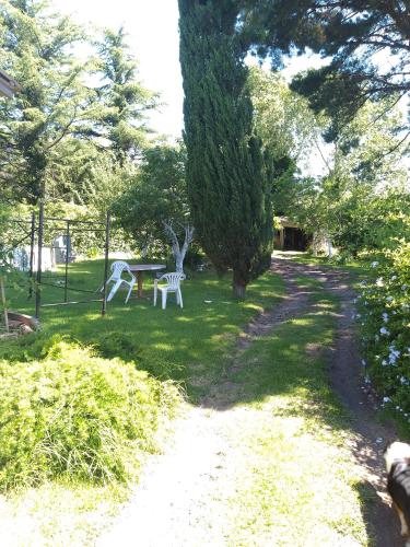 un jardín con una mesa de picnic en el césped en EL TERO en Sierra de los Padres