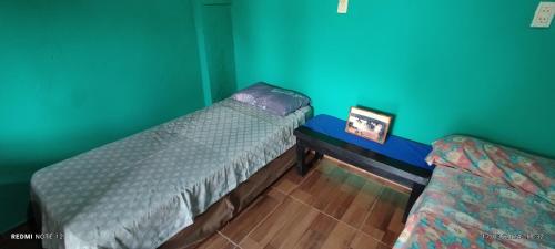 2 camas en una habitación con paredes verdes en Estanislao López 127 en Puerto Iguazú