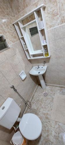 a bathroom with a toilet and a sink and a mirror at LUZ BELLA 2 in Oberá