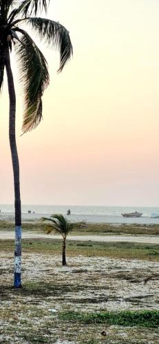 a palm tree and a boat on the beach at Luna Nueva Casa de Huéspedes in Ríohacha
