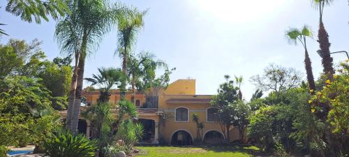 a yellow house with palm trees in front of it at lunar in Madīnat an Nāşirīyah