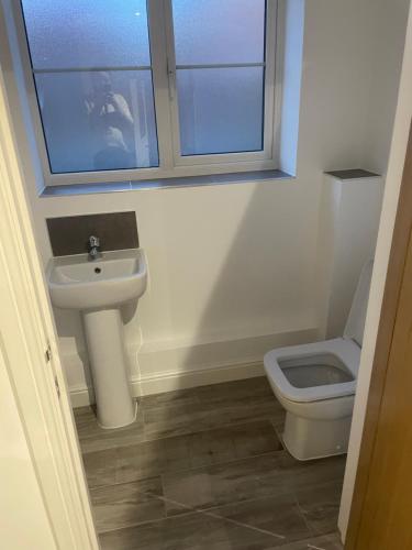 een badkamer met een wastafel en een toilet bij Room in Bourne in Lincolnshire