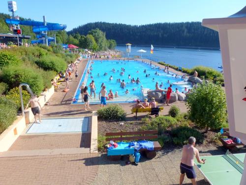 un grupo de personas en una piscina en un parque acuático en Ferienwohnung Schluchsee, en Schluchsee