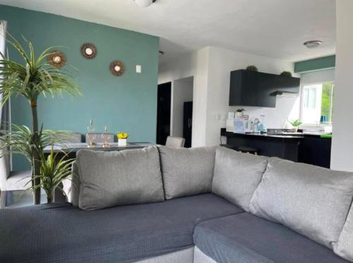 阿卡普爾科的住宿－Acapulco Lux，一间带灰色沙发的客厅和一间厨房