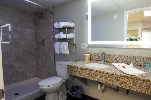 a bathroom with a toilet and a sink and a shower at Envi Boutique Hotel Henderson-Evansville South in Henderson
