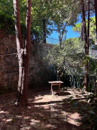Φυσικό τοπίο κοντά σε αυτός ο ξενώνας
