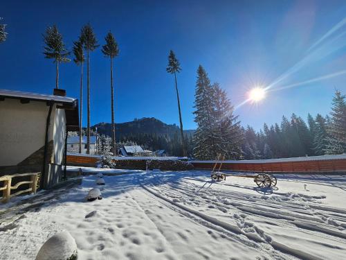 a snow covered yard with trees and the sun in the sky at Pensiunea Ana Maria Durau in Durau
