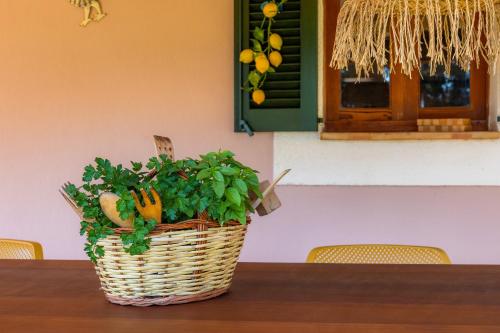 Fotografie z fotogalerie ubytování Can Pamboli v destinaci Son Servera