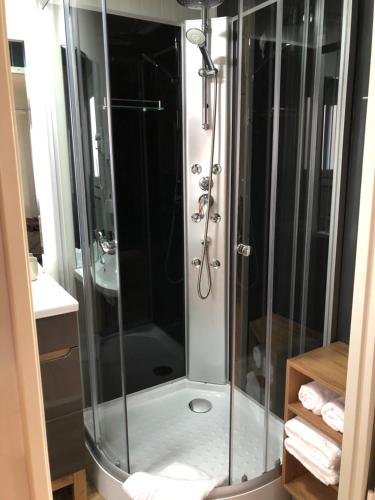 una doccia con cabina in vetro in bagno di Tiny House Valea Avrigului a Avrig