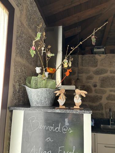 a sign with a plant on top of a counter at Casa Escuela Trasmiras 