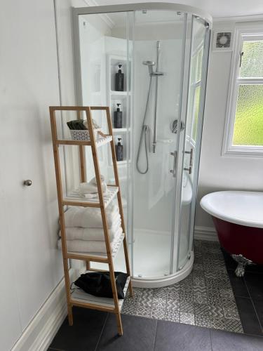 a bathroom with a shower with a ladder and a sink at SHORT WALK TO NELSON CITY CENTRE - Quiet location, comfy beds, pet friendly, full kitchen, claw-foot bath tub, outdoor areas in Nelson