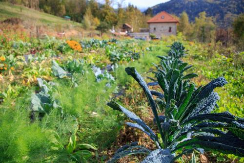Zahrada ubytování Agriturismo Fattoria Ortoalpino