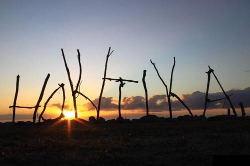a sunset with wind turbines in a field at Hokitika Beach Break in Hokitika