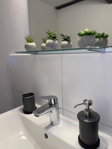 a bathroom sink with two faucets and plants on a shelf at PrimeBnb Bad Hersfeld in Bad Hersfeld