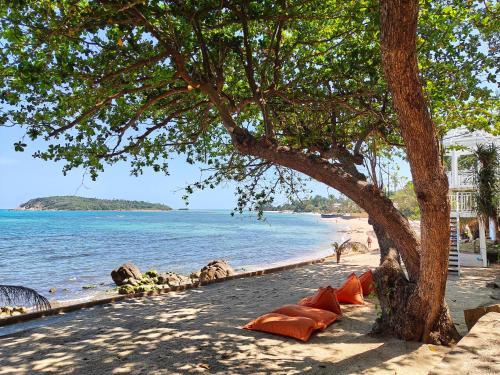 a row of orange pillows on a beach with a tree at Bhundhari Resort & Villas Samui in Chaweng