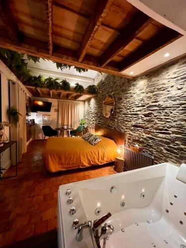 une chambre avec un lit et une baignoire dans l'établissement LOVE ROOM JUNGLE - LES PETITS PLAISIRS, à Angers