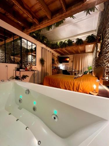 - une chambre avec une baignoire et un lit dans l'établissement LOVE ROOM JUNGLE - LES PETITS PLAISIRS, à Angers