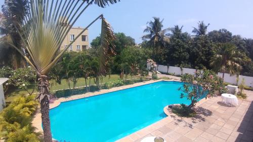 an overhead view of a swimming pool with palm trees at Shiraz villa in Chennai