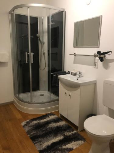ein Bad mit einer Dusche, einem Waschbecken und einem WC in der Unterkunft Haus im Grünen in Lippstadt