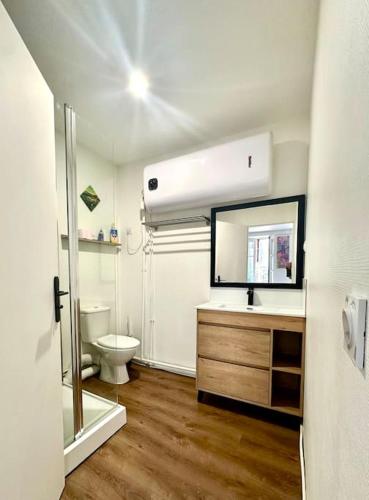 une salle de bain avec toilettes, lavabo et miroir dans l'établissement C. La réserve - St Rose le BLEU, à Clermont-Ferrand