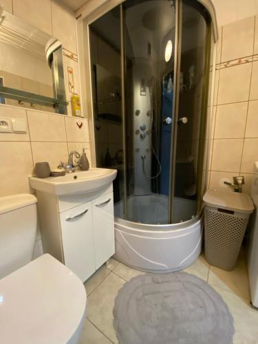 a bathroom with a shower and a toilet and a sink at Apartament Asspazja in Stronie Śląskie