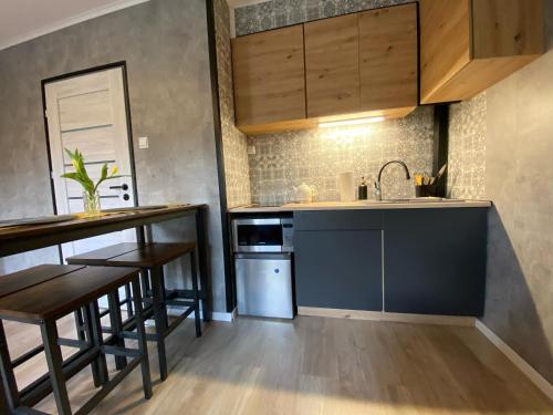 a kitchen with a counter and a sink and a dishwasher at Apartament Asspazja in Stronie Śląskie