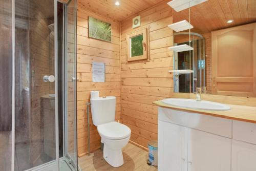 a bathroom with a toilet and a sink and a shower at Chalets 1 MESANGE BLEUE Roquebrune Sur Argens in Roquebrune-sur-Argens