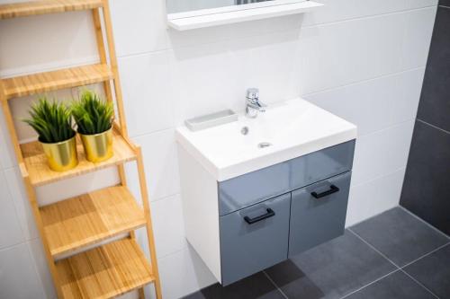 baño con lavabo y 2 macetas en Warm 2 Bedroom Serviced Apartment 59m2 -LK21- en Róterdam