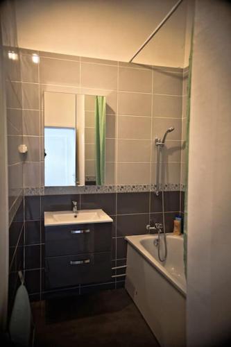 une salle de bain avec un lavabo, une baignoire et un miroir dans l'établissement L évasion centre ville famille, à Auxerre