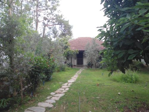 Κήπος έξω από το Bungalow Halil