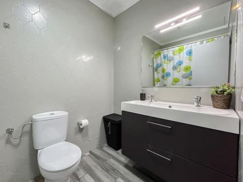 a bathroom with a toilet and a sink and a mirror at Espectacular casa con piscina en Tordera in Tordera